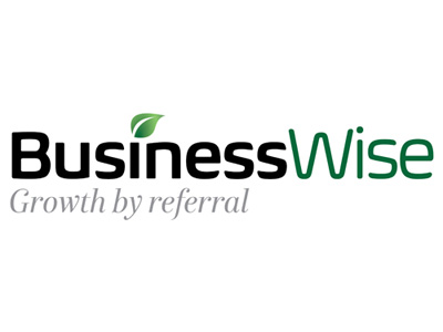 Business Wise Logo