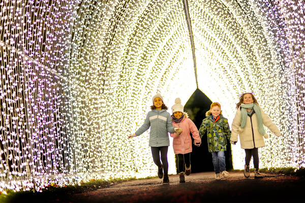 Stourhead Christmas Light Trail