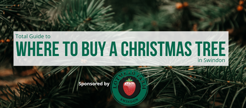 Where To Buy Christmas Trees In And Around Swindon