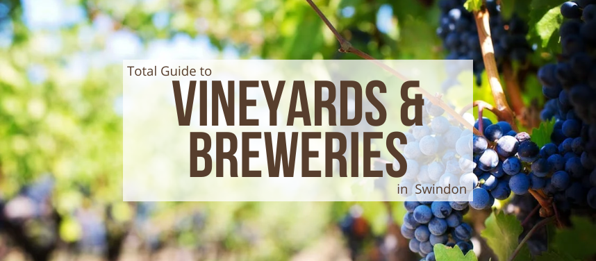 Vineyards & Breweries