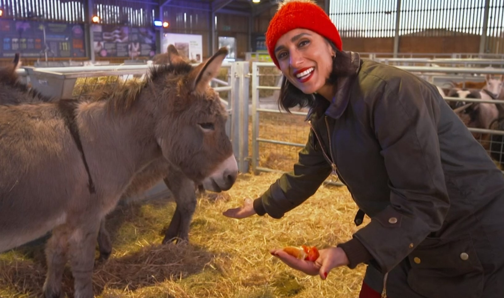 BBC Countryfile Christmas in the Park debuts at Charlton Park Estate