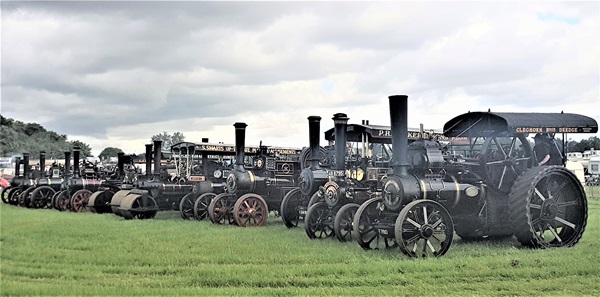 Traction engine line up â€“ photo by Chris Roberts