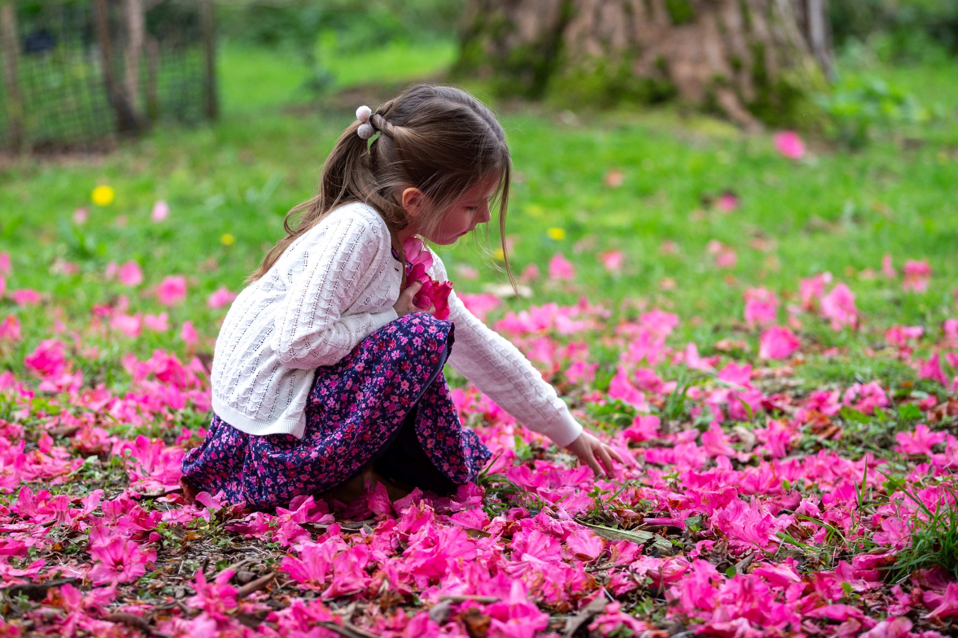 Client Image: Westonbirt Arboretum Spring Family Activity