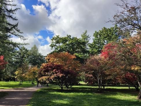 Westonbirt, The National Arboretum