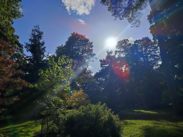 Westonbirt, The National Arboretum