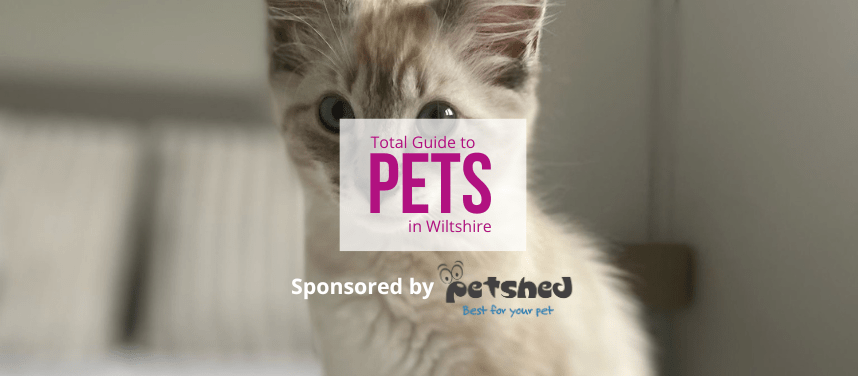 Pets in Swindon